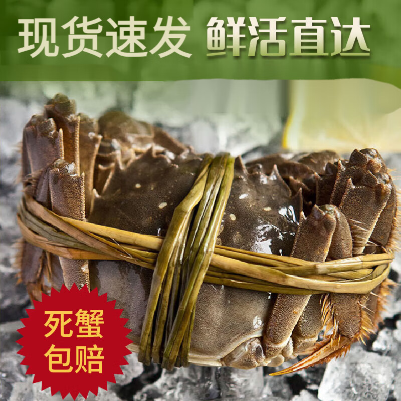 大闸蟹主图3